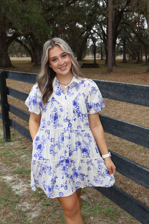 Classy Blue Toile Dress