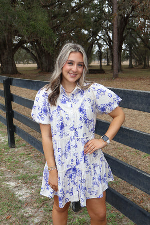 Classy Blue Toile Dress