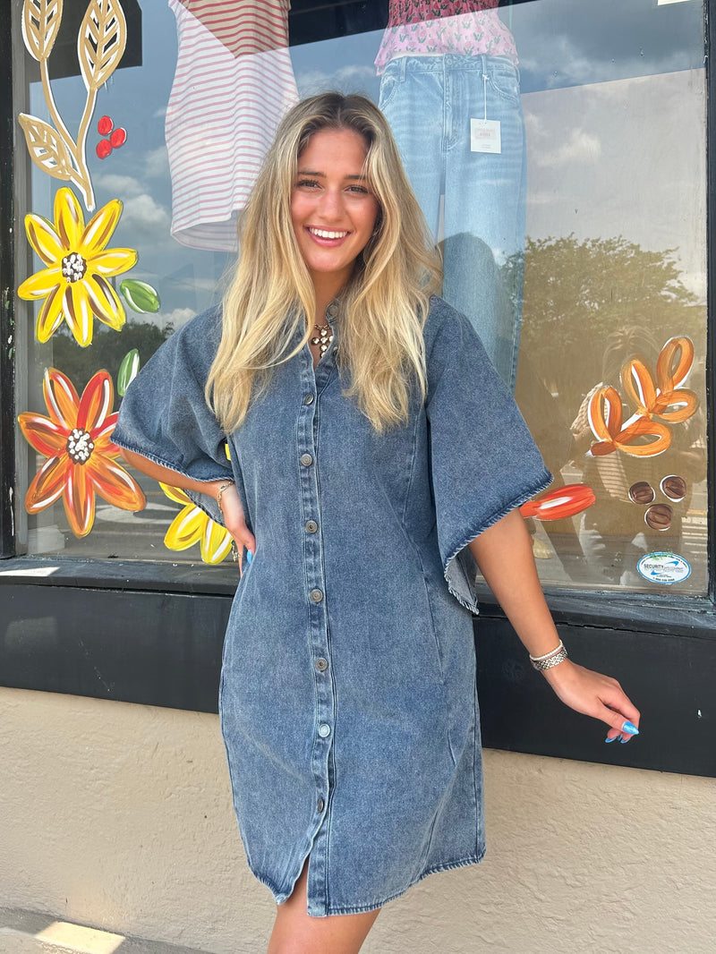 Grace Denim Sleeve Mini Dress