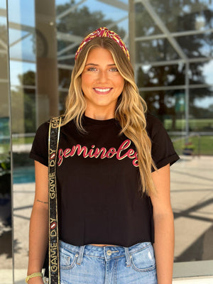 Seminoles Vintage Crop Tee