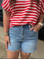 Haidyn Distressed A-Line Shorts