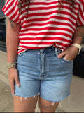 Haidyn Distressed A-Line Shorts