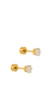 Screwback Stud Earrings- Helen Gold
