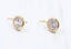 Esther Round CZ Fish Hook Earrings