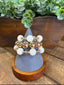 Set of 3 White & Gold 14mm Beaded Bracelet