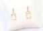 Dalton Crystal Drop Earrings